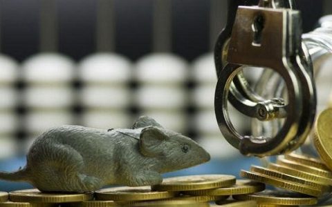 国际期货代理手续